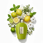 Voux Zingy Paris Corner – Eau de Parfum (Unisex 100ml)